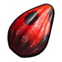 Ladybug Egg